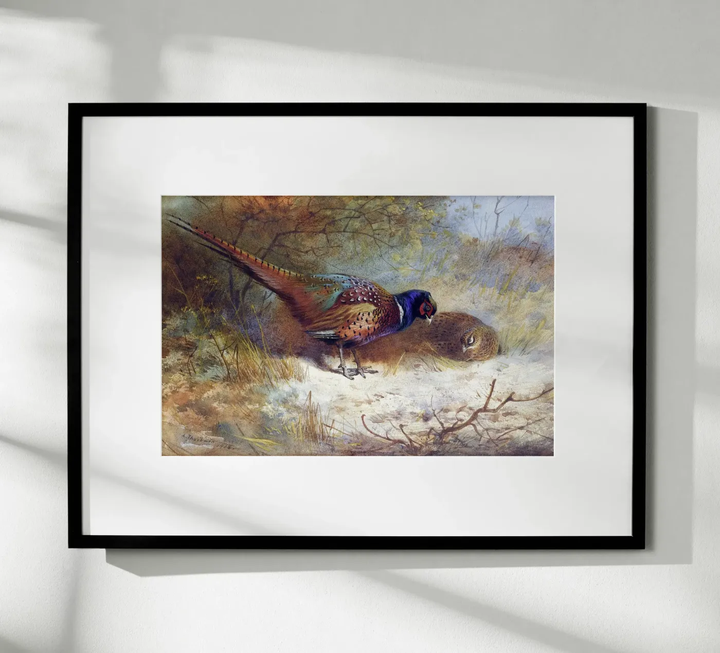 Pheasants poster da Apolo Prints