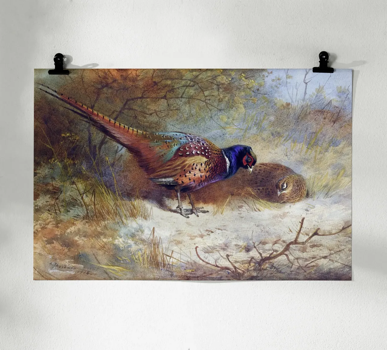 Pheasants poster con telaio in alluminio da apoloprints