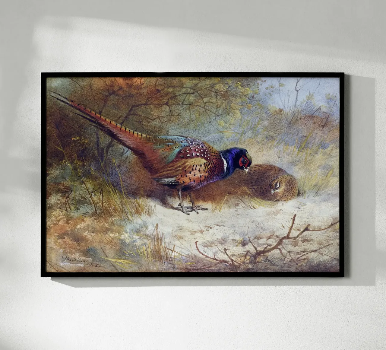 Pheasants poster con telaio in alluminio da apoloprints