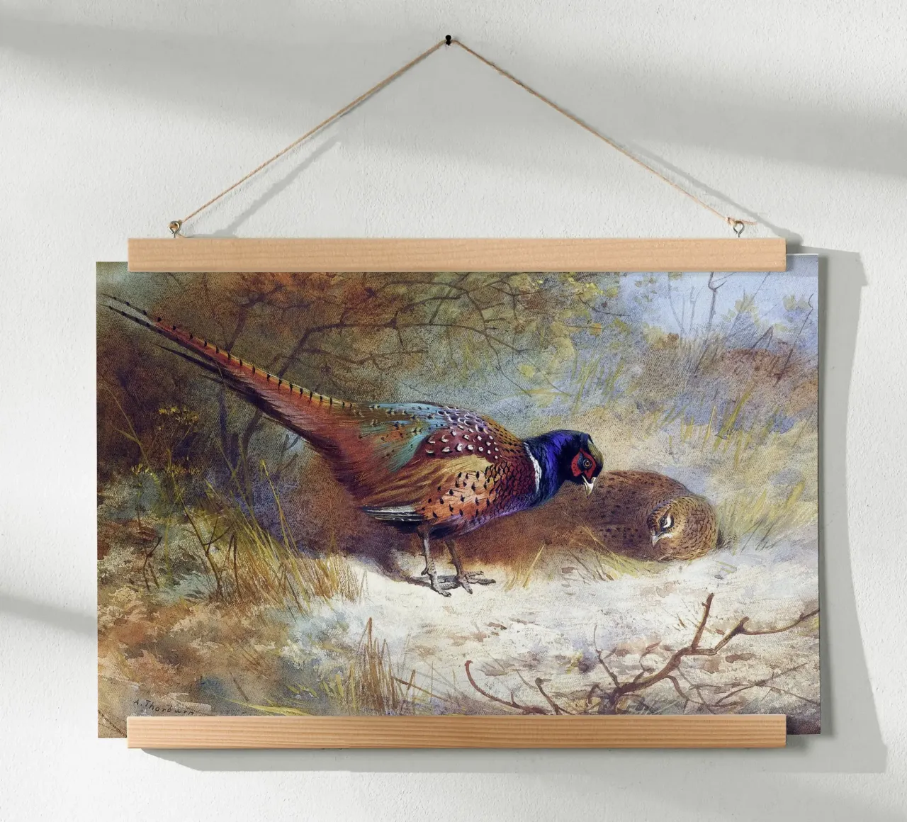 Pheasants poster con telaio in alluminio da apoloprints