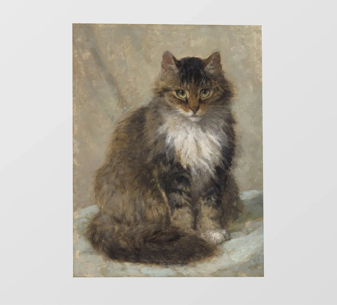 Cat Standing pellicola backlit da apoloprints