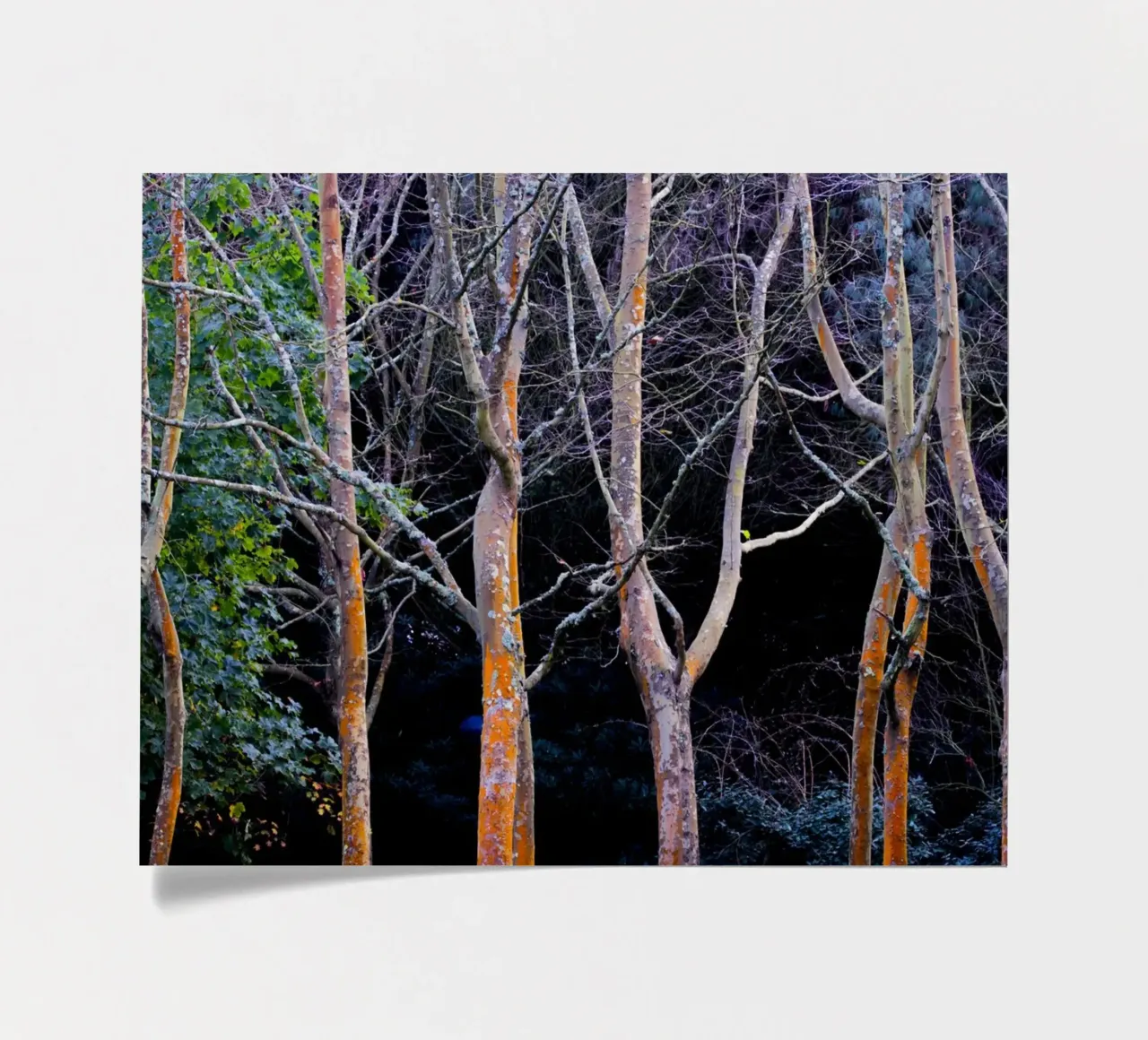 Herbst in den Wäldern Stickerbogen von Teresa André