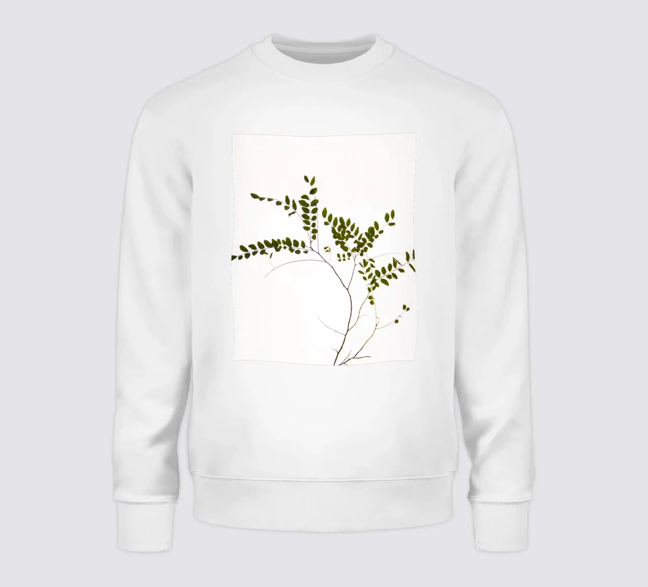 Branche d'arbre délicate sweat de Teresa André