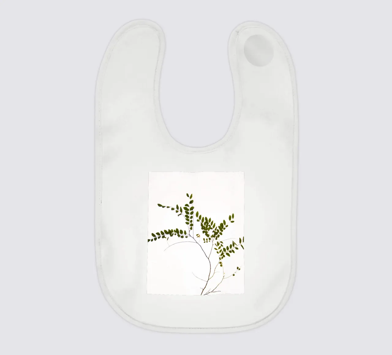 Tree delicate branch bavaglino da Teresa André