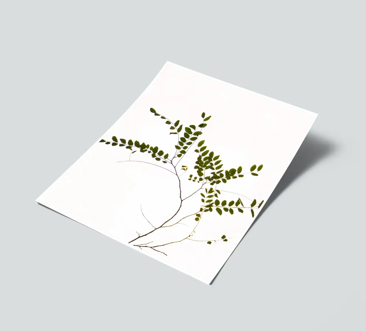 Tree delicate branch foglio adesivo da Teresa André