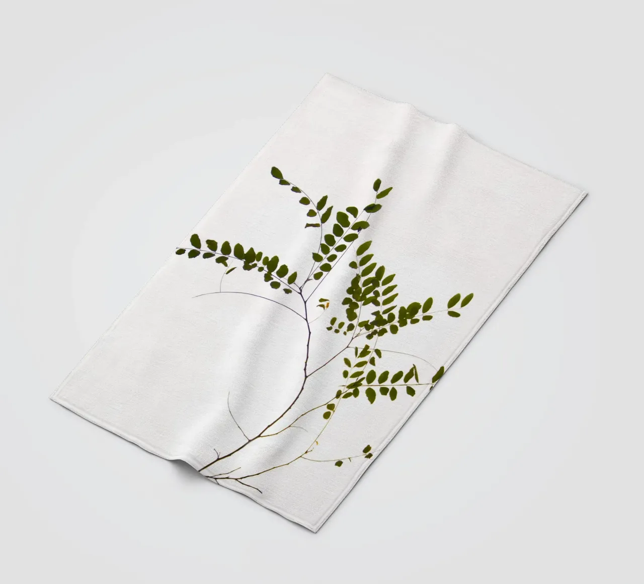 Tree delicate branch coperta in pile da Teresa André