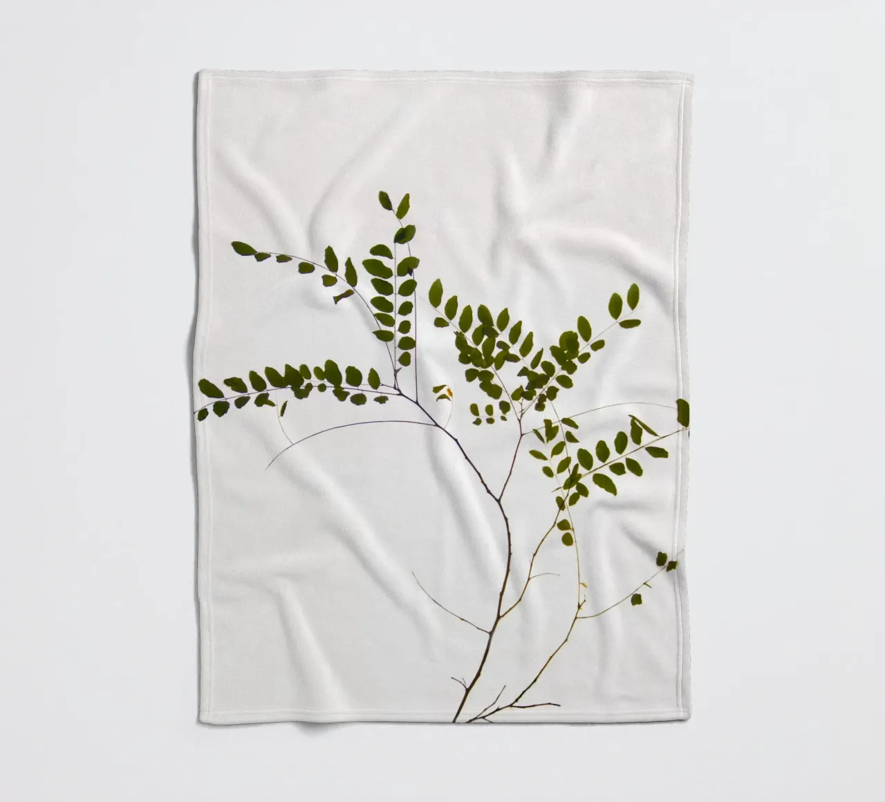 Tree delicate branch coperta in pile da Teresa André