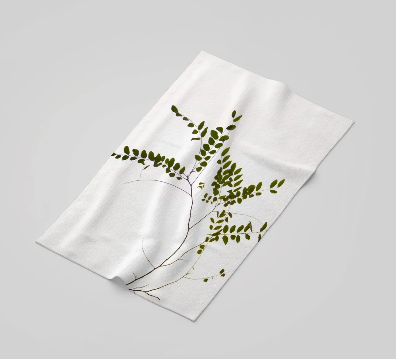 Tree delicate branch telo mare da Teresa André