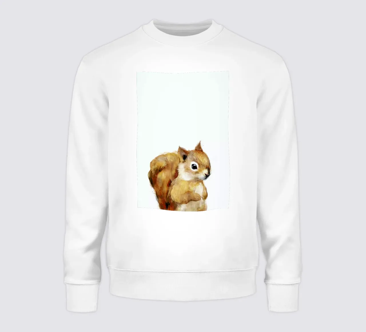 Little Squirrel felpa da Amy Hamilton
