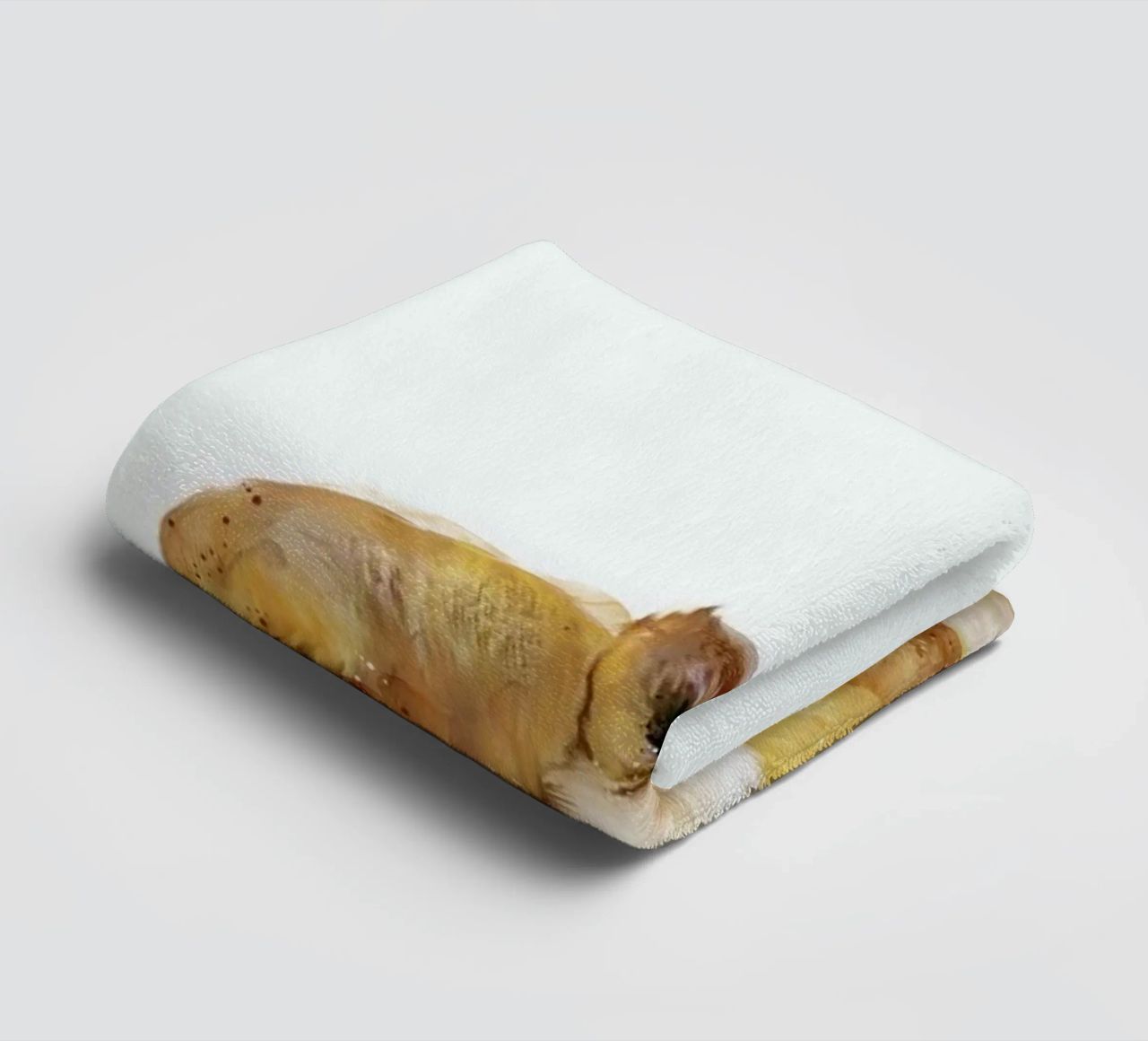 Little Squirrel towel by Amy Hamilton