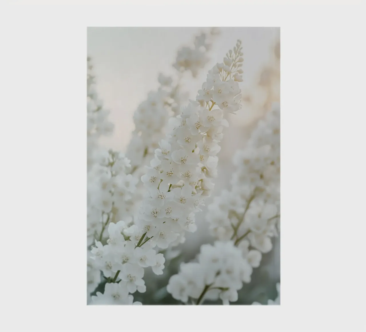 white flowers harmony notebook by Carinaprint