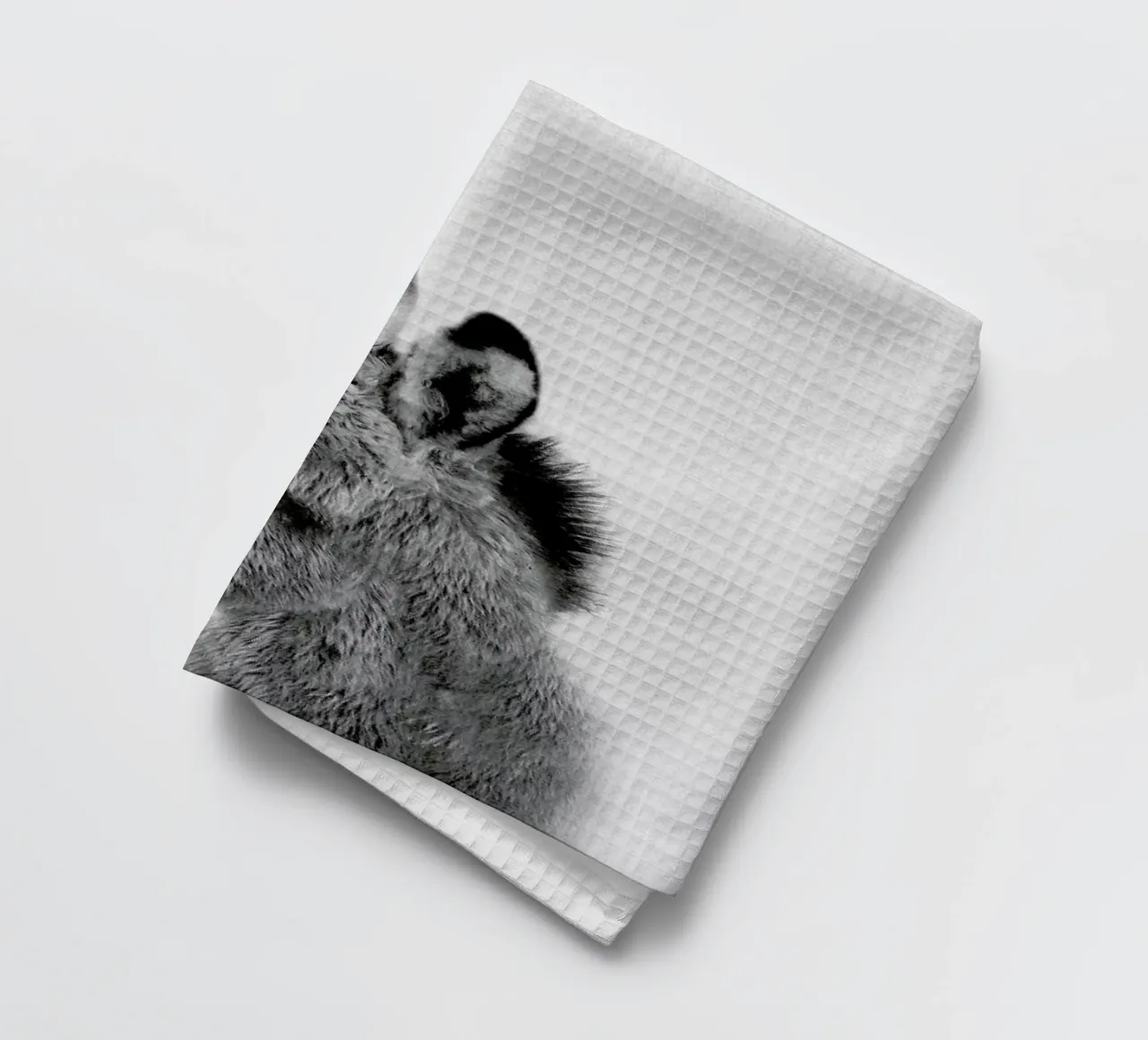 Print 64 canovaccio da cucina da Lila & Lola