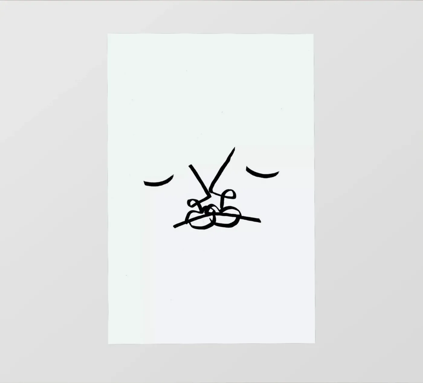 Two papier peint photo de Ninhol