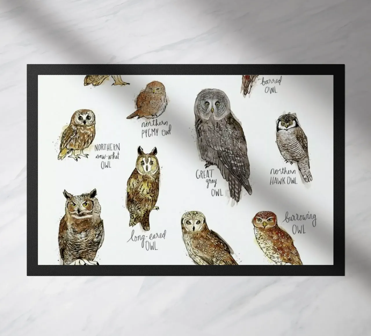 Owls zerbino da Amy Hamilton