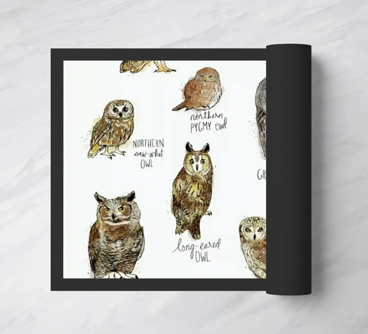 Owls zerbino da Amy Hamilton