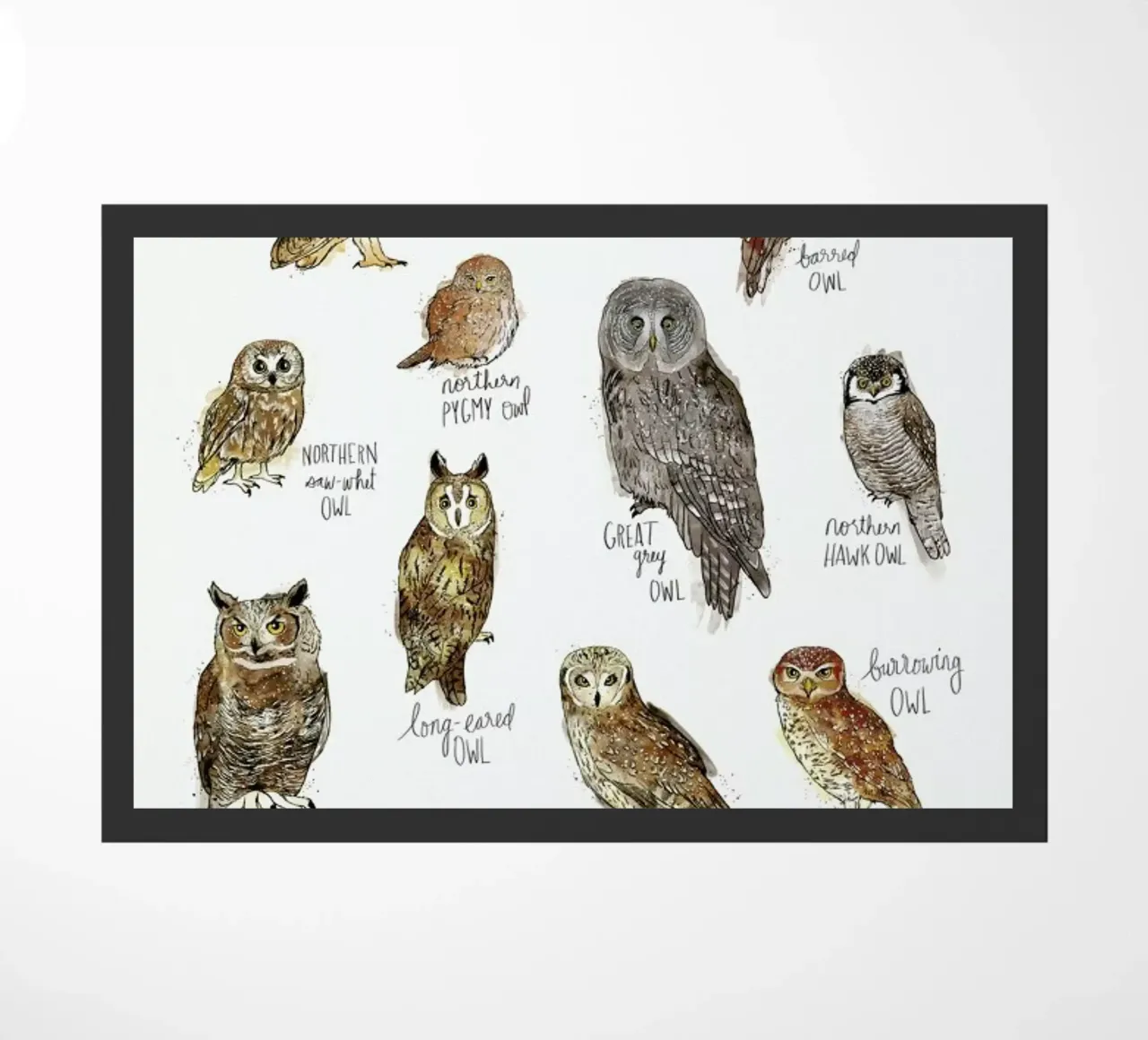 Owls zerbino da Amy Hamilton