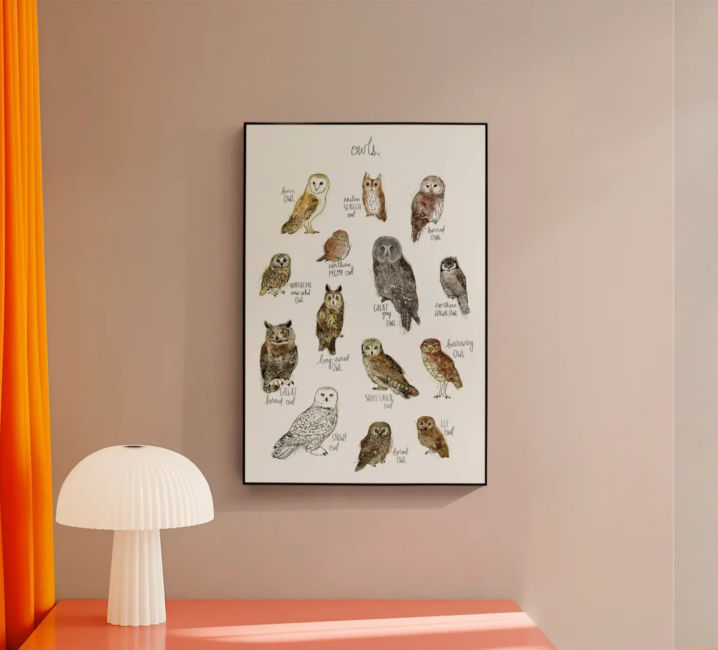 Owls acrylic glass by Amy Hamilton