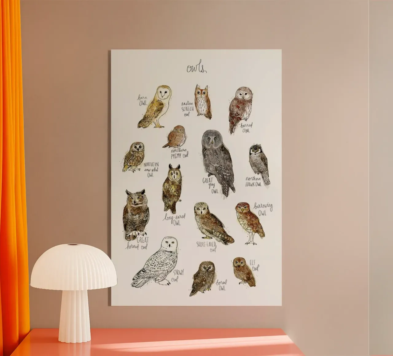 Owls plexiglass da Amy Hamilton