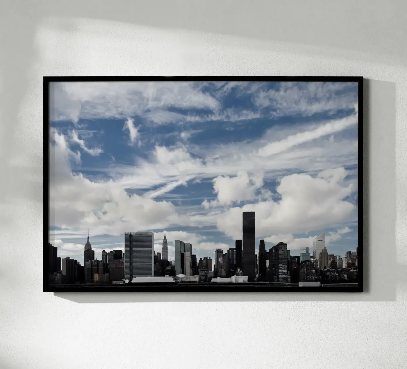 Feathers Poster von Cordula Schaefer