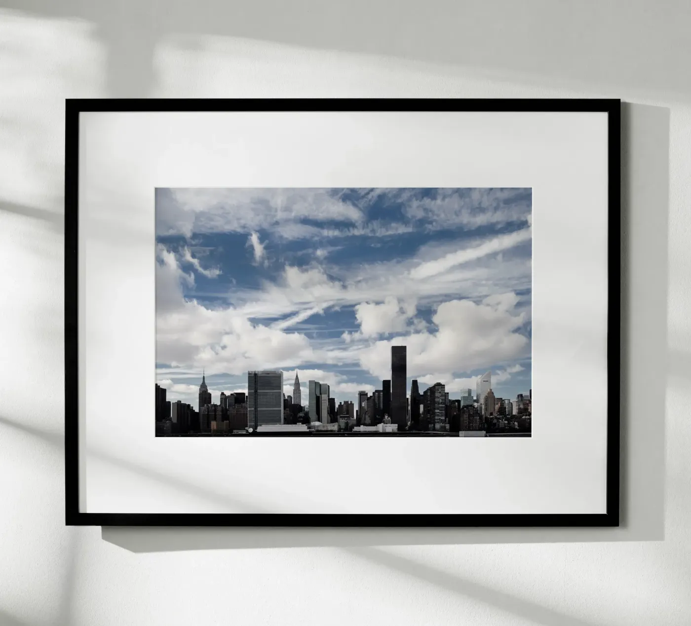 Feathers Poster von Cordula Schaefer