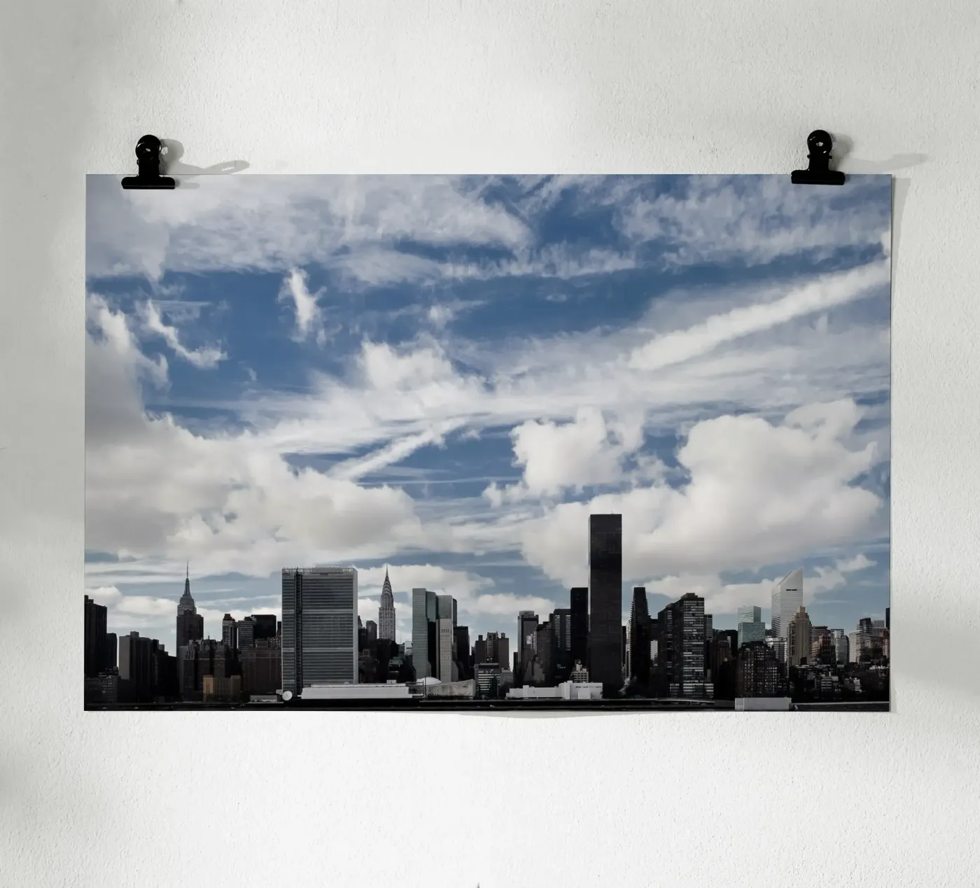 Feathers Poster von Cordula Schaefer