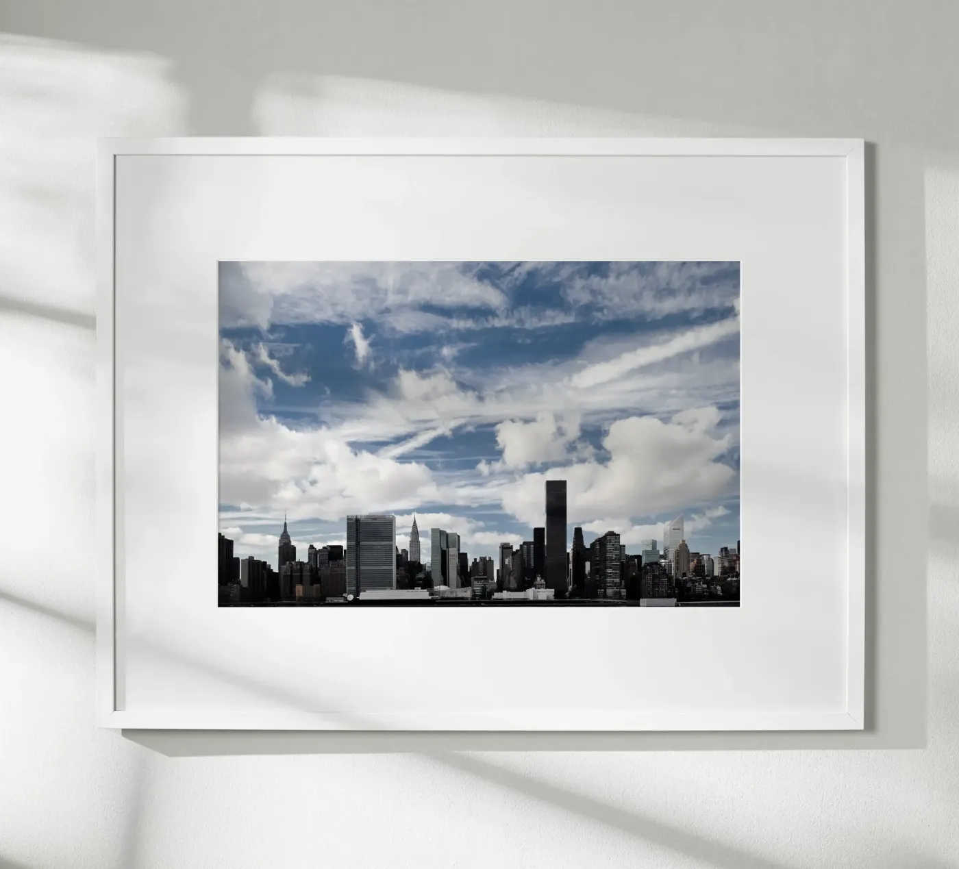 Feathers Poster von Cordula Schaefer