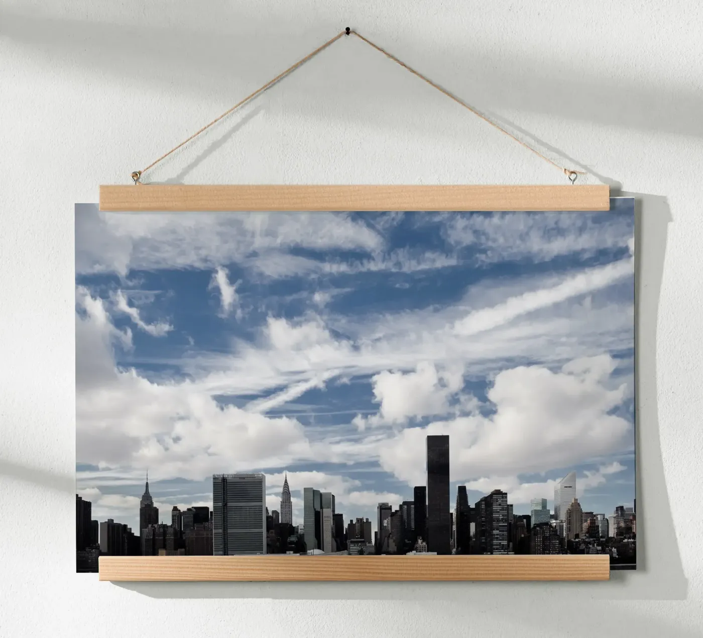 Feathers Poster von Cordula Schaefer