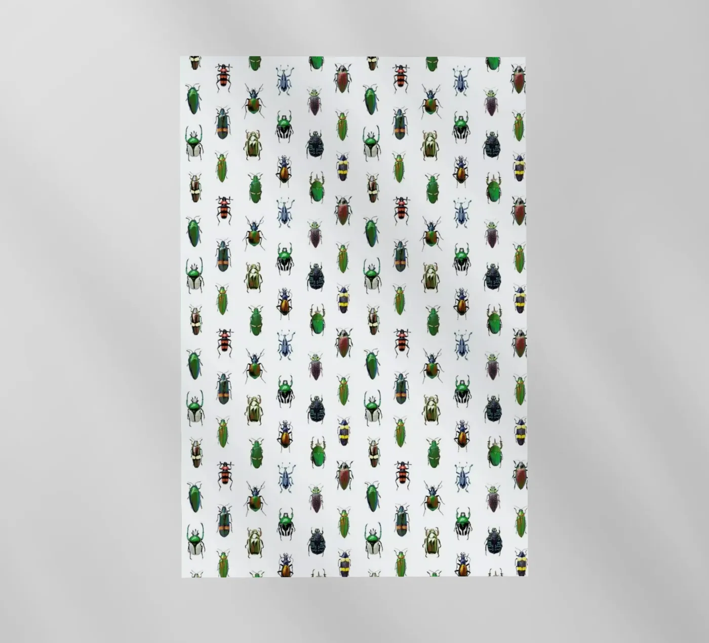 Beetles backlit folie van Curious Collections by Marielle Leenders