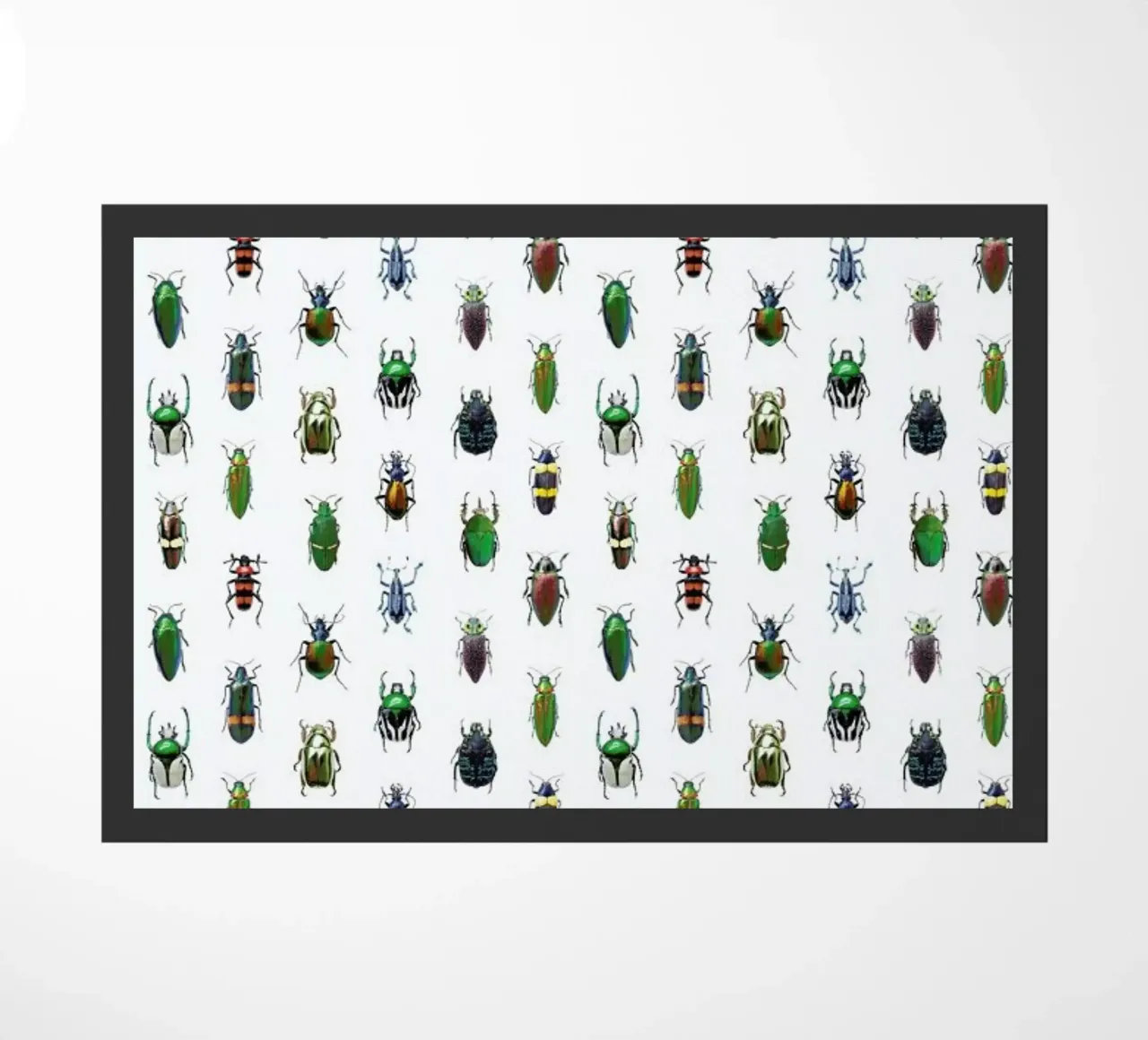Beetles zerbino da Curious Collections by Marielle Leenders