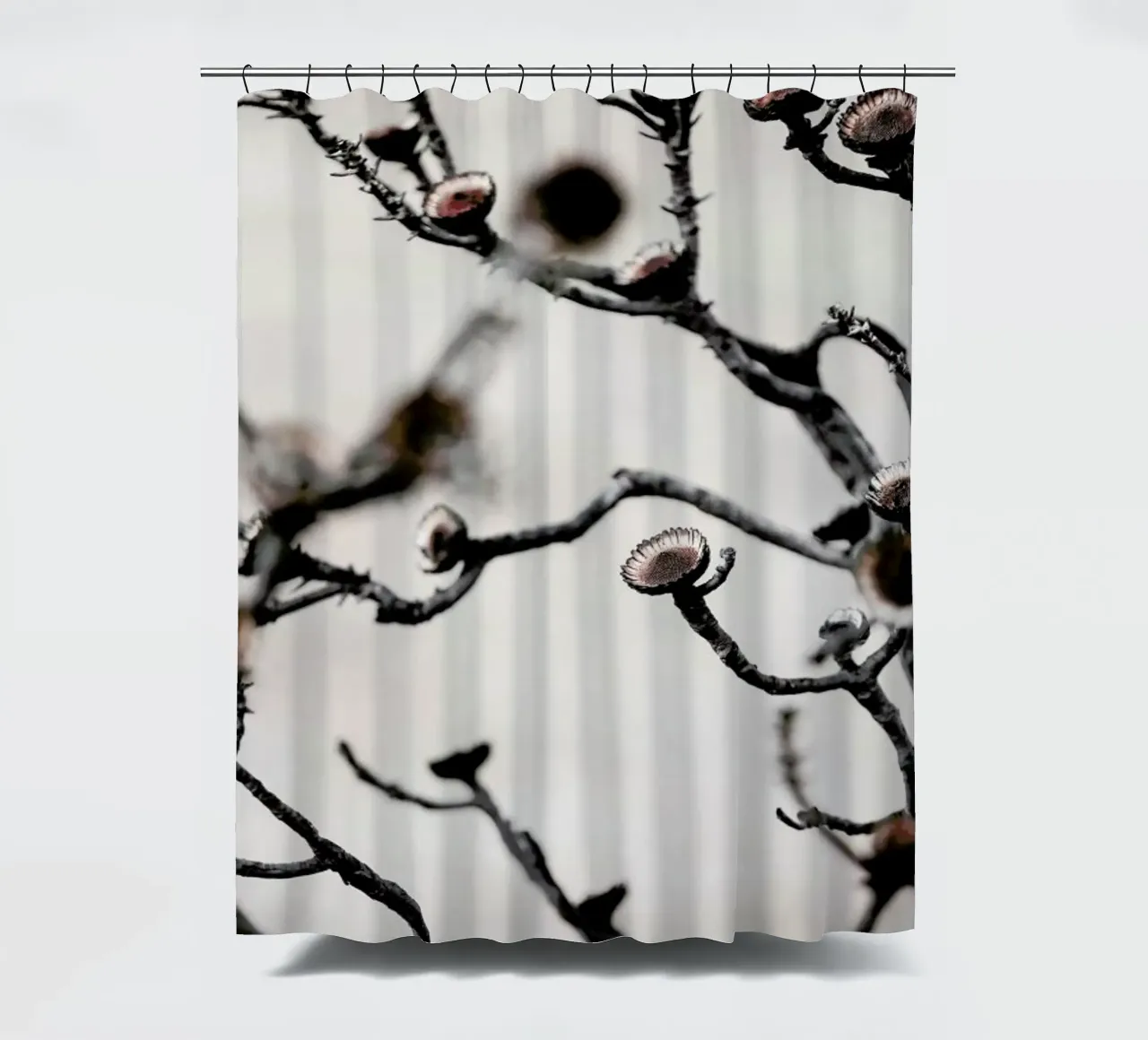 Swartberg Protea 3 shower curtain by Shot By Clint