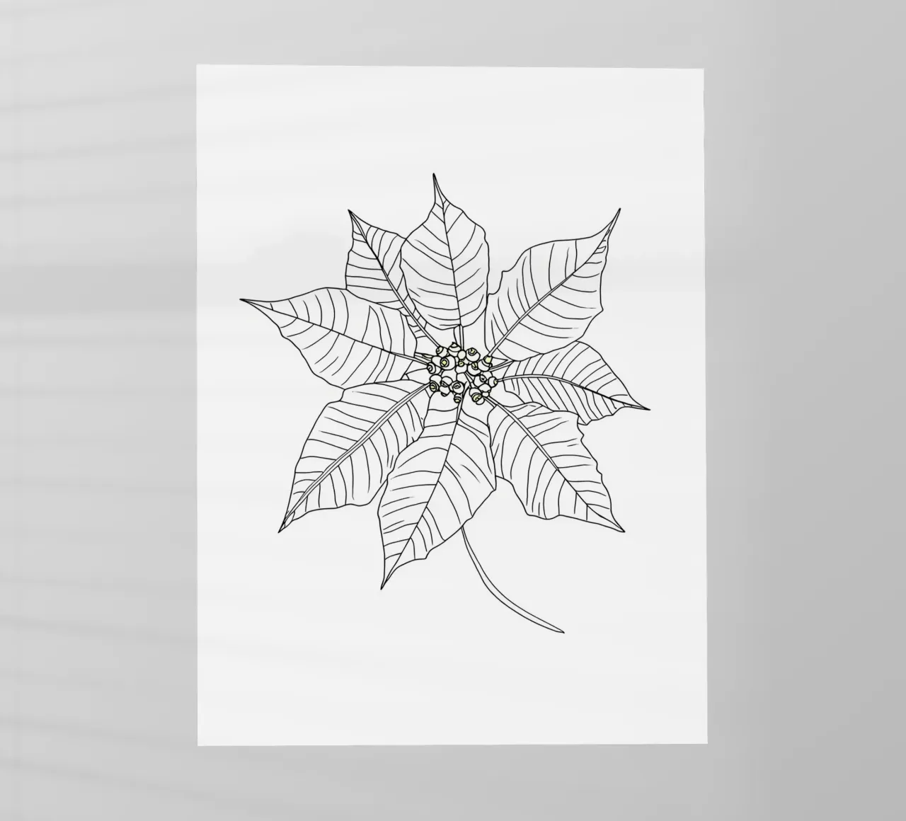 Stella di Natale - Line Art minimalista pellicola backlit da Viv Line Art