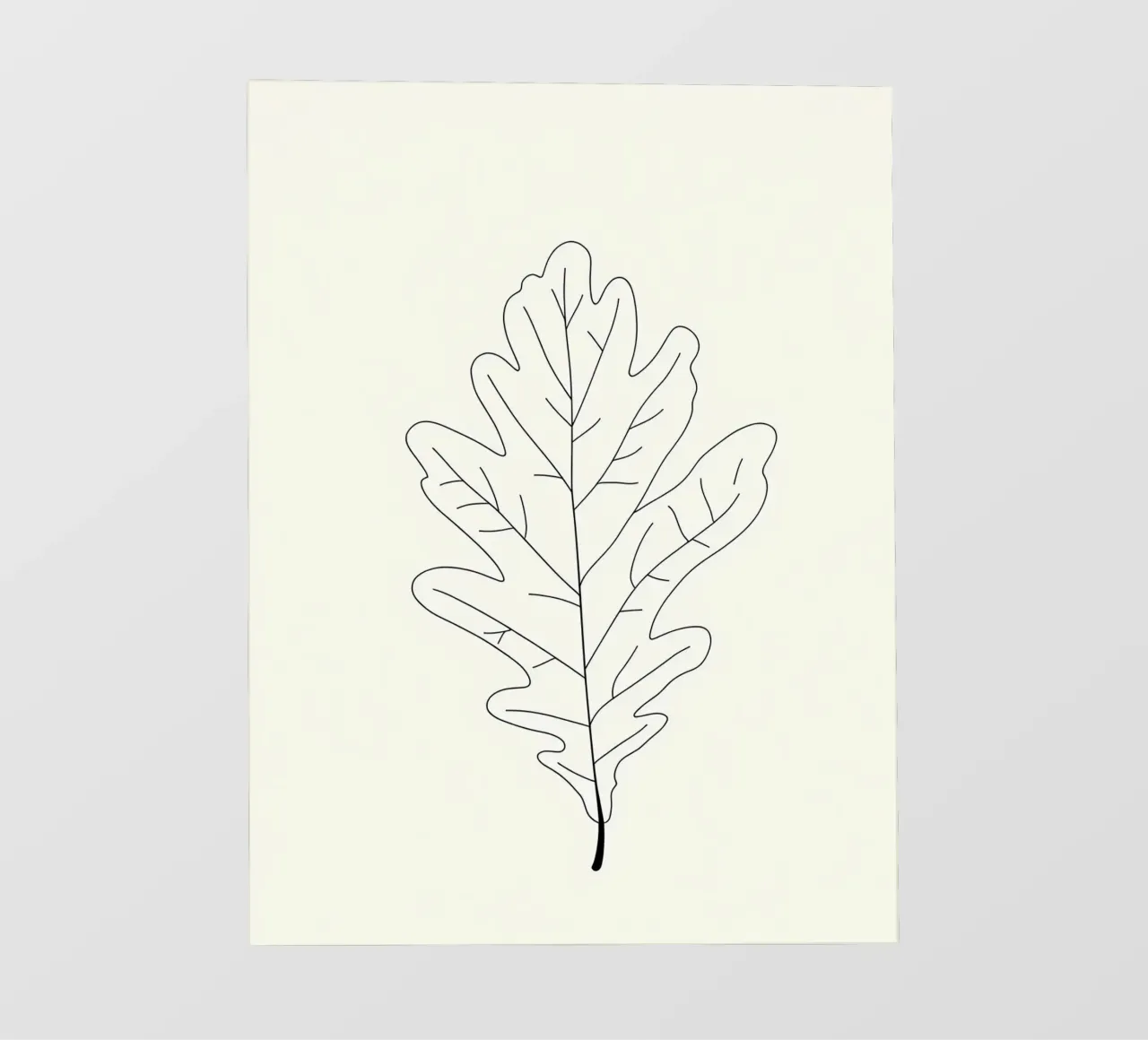 Foglia di quercia - Line art minimalista pellicola backlit da Viv Line Art