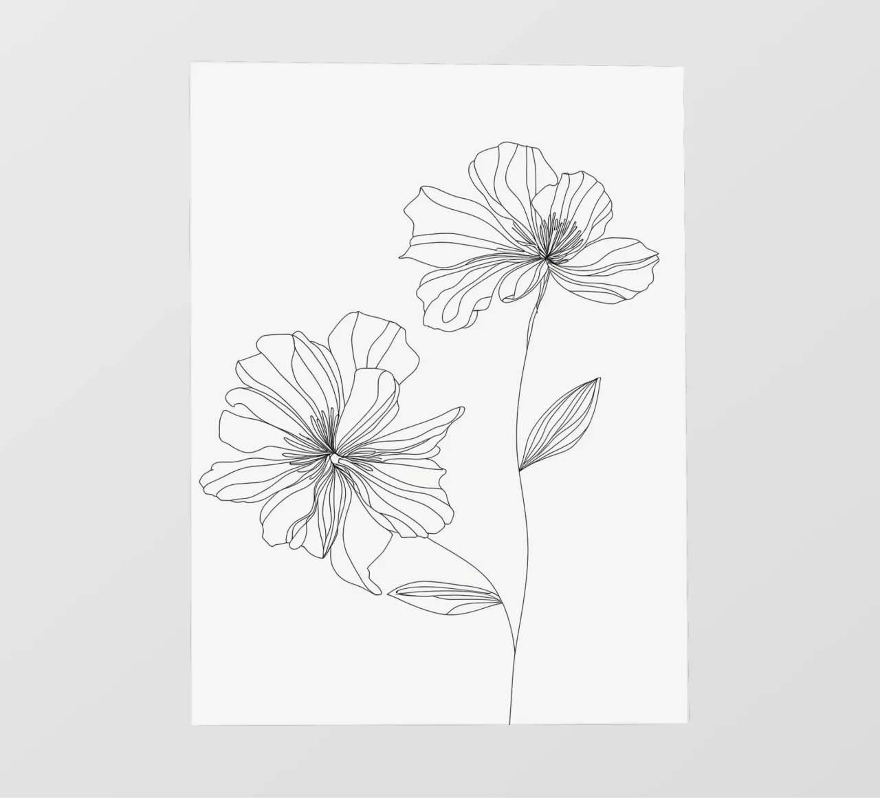 Fiori - Line art minimalista pellicola backlit da Viv Line Art