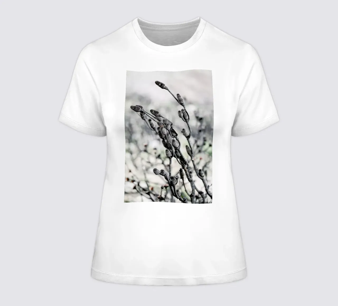 Swartberg Protea 4 women's fitted t-shirt by Shot By Clint