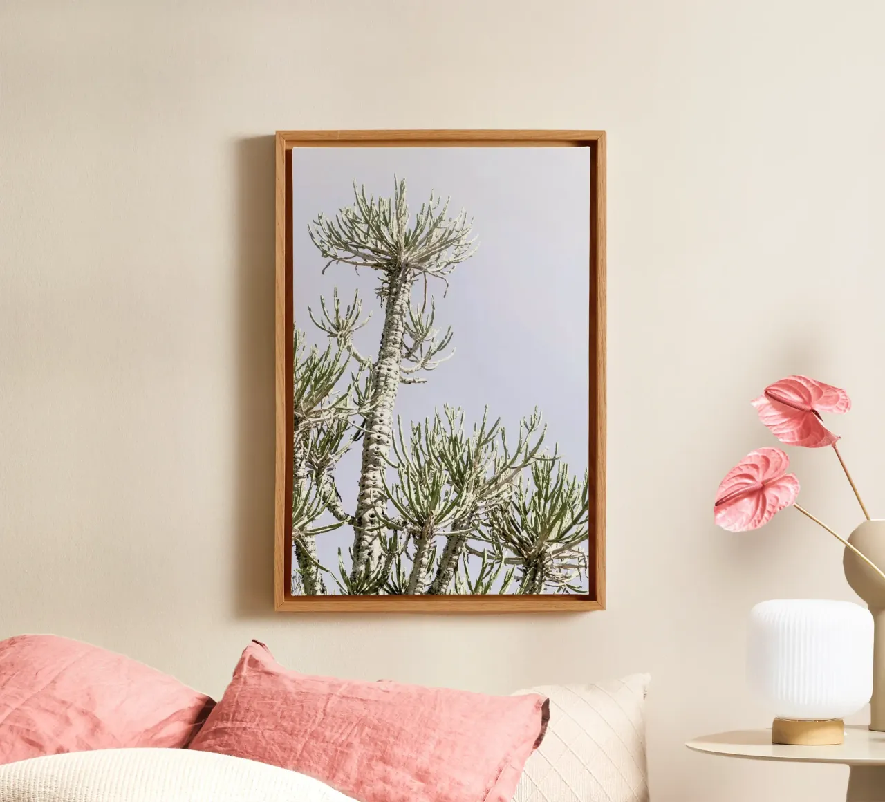 Tankwa Euphorbia 3 canvas with Floater frame by Shot By Clint