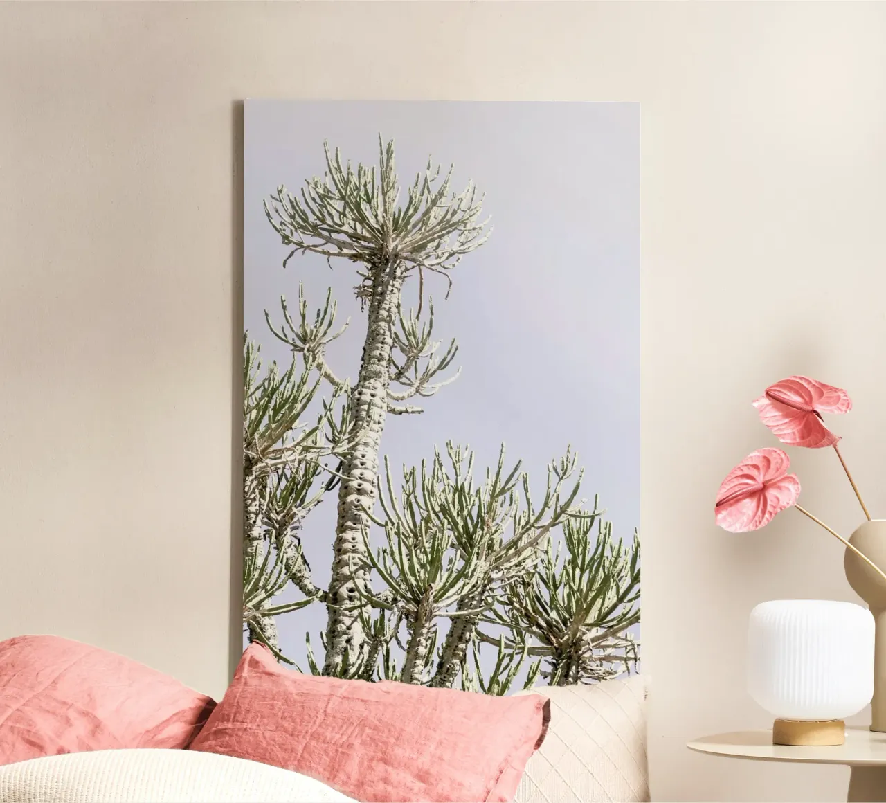 Tankwa Euphorbia 3 canvas with Floater frame by Shot By Clint