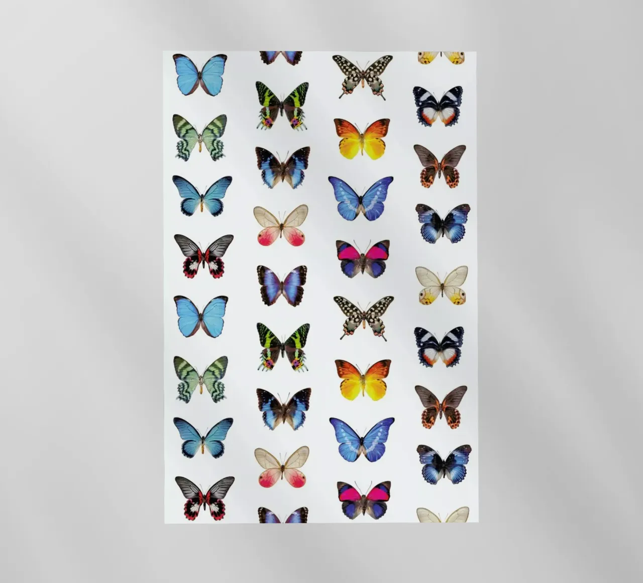 Colourful Butterflies pellicola backlit da Curious Collections by Marielle Leenders