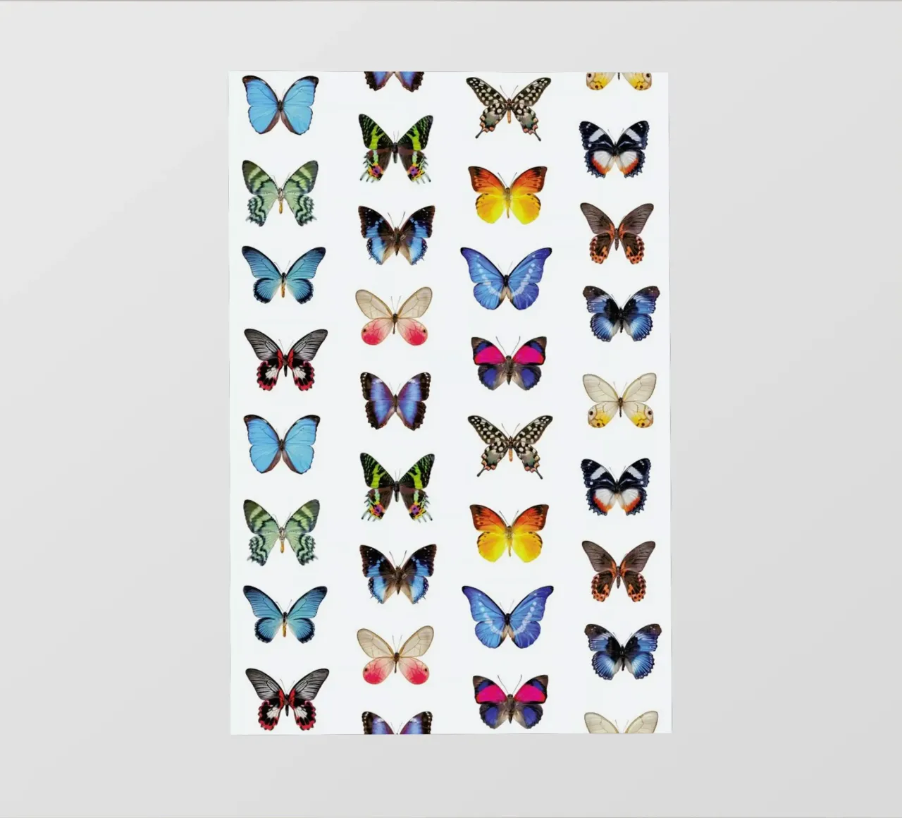 Colourful Butterflies pellicola backlit da Curious Collections by Marielle Leenders