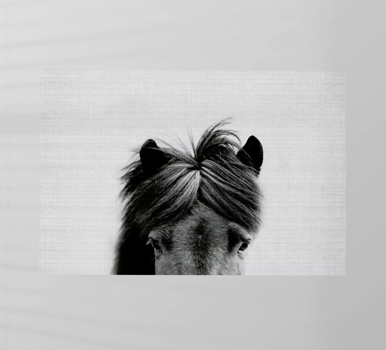 Print 191 pellicola backlit da Lila & Lola