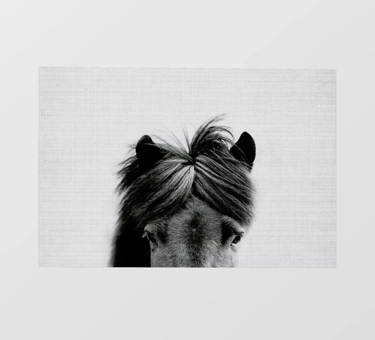 Print 191 pellicola backlit da Lila & Lola