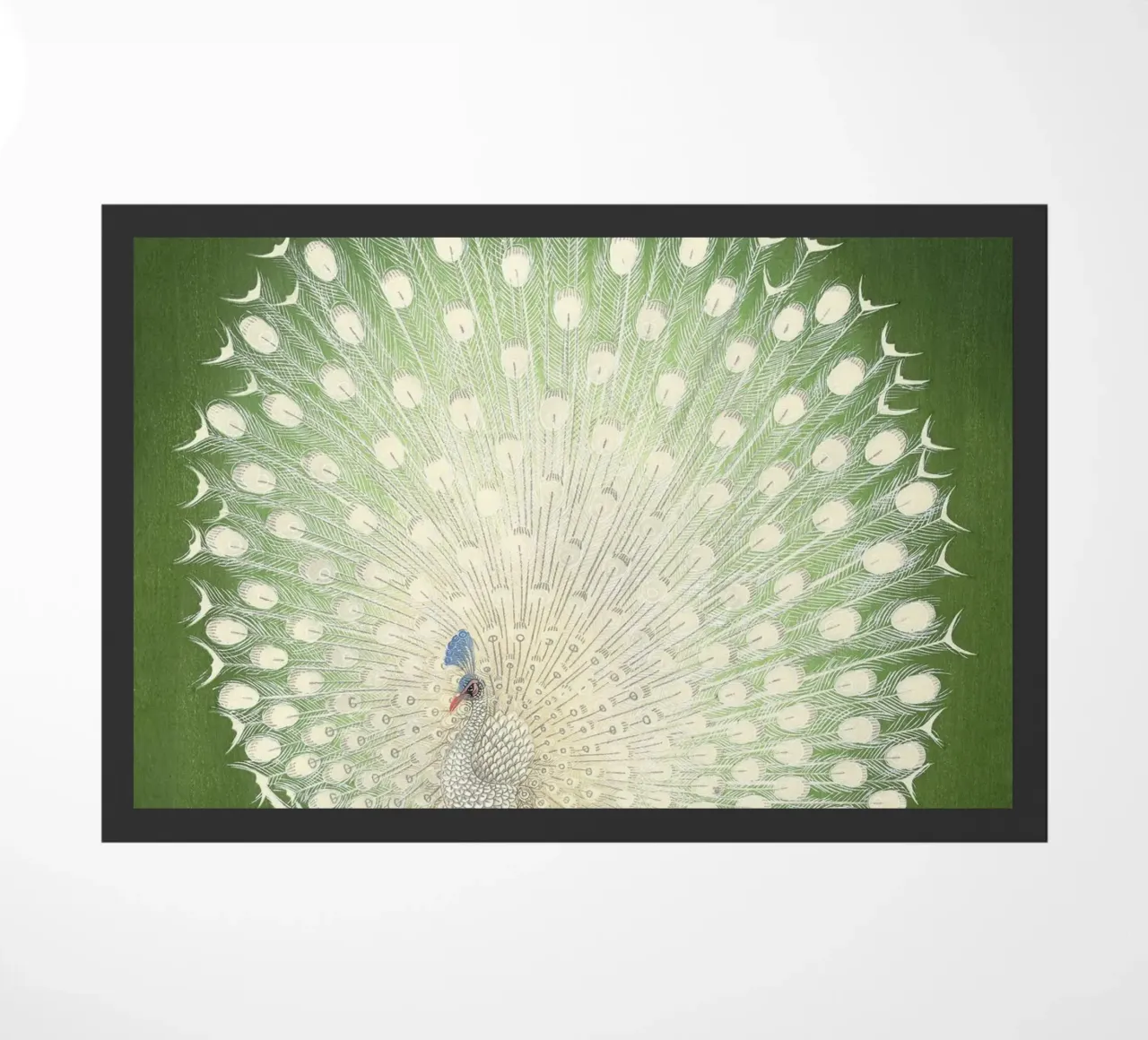 Ohara Koson - Peacock zerbino da apoloprints