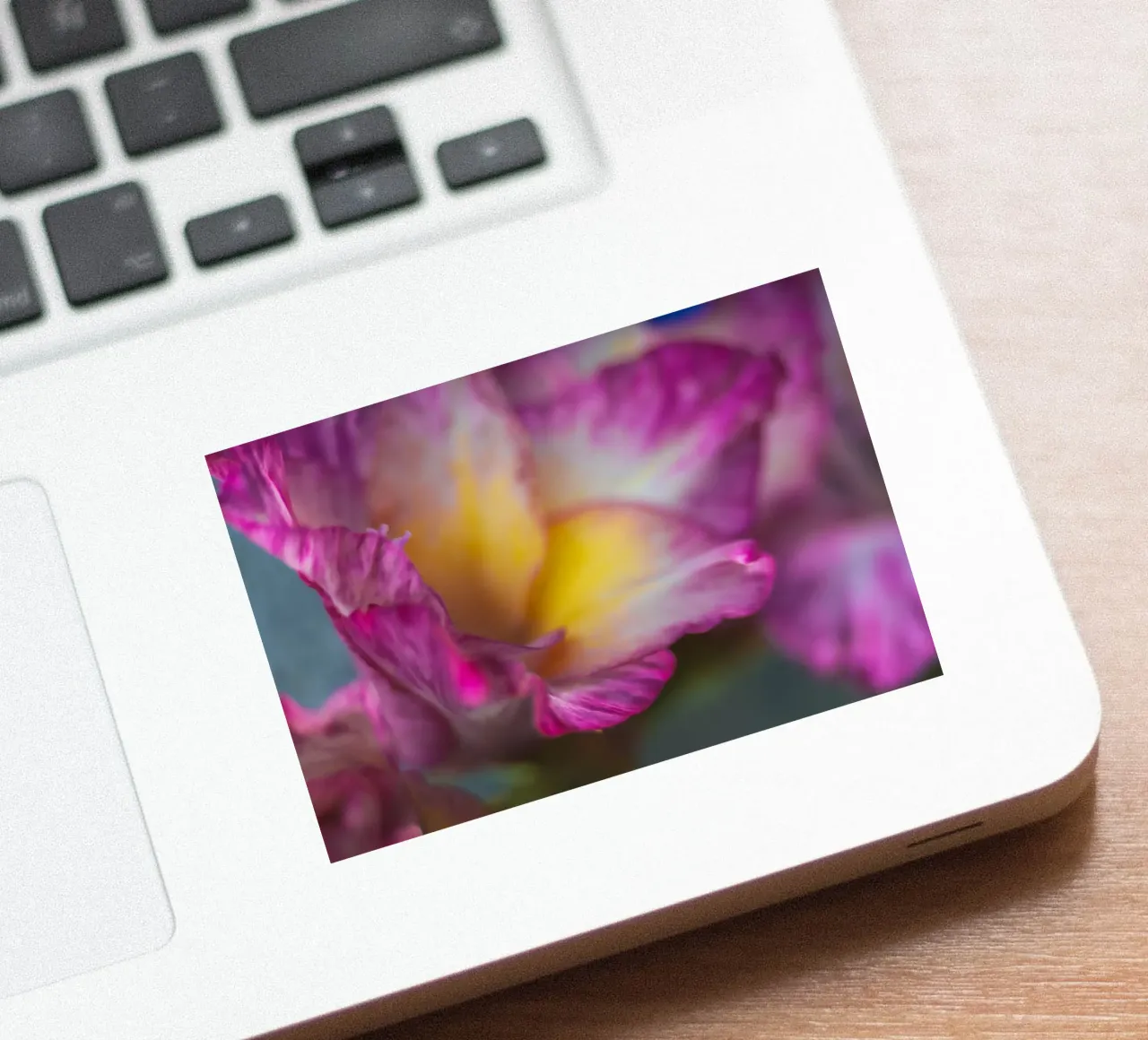 Flower sticker by Flo Klein