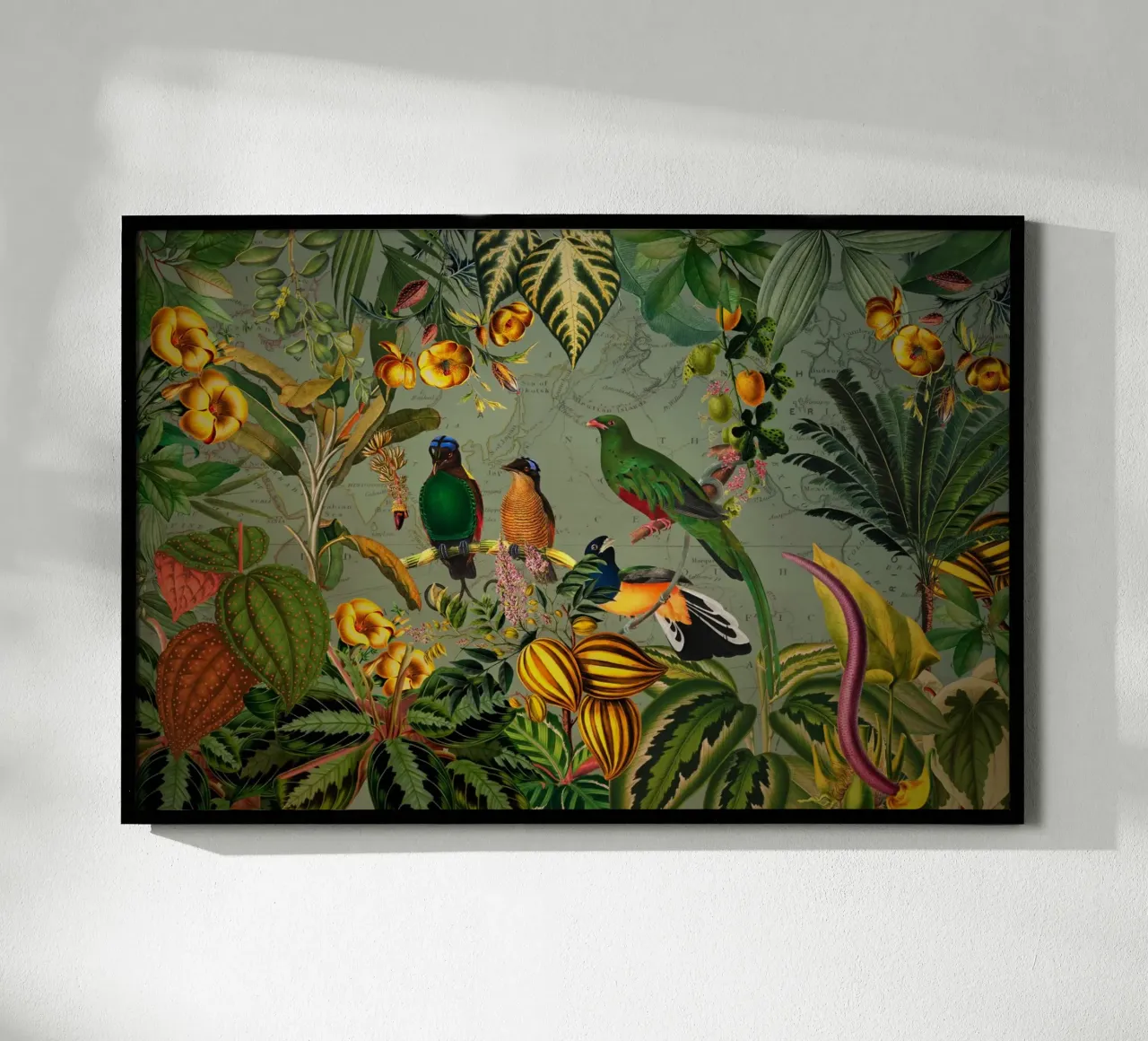Mistico Vintage Esotico Uccelli colorati Giungla Nightgar poster da Vintage World - Uta Naumann