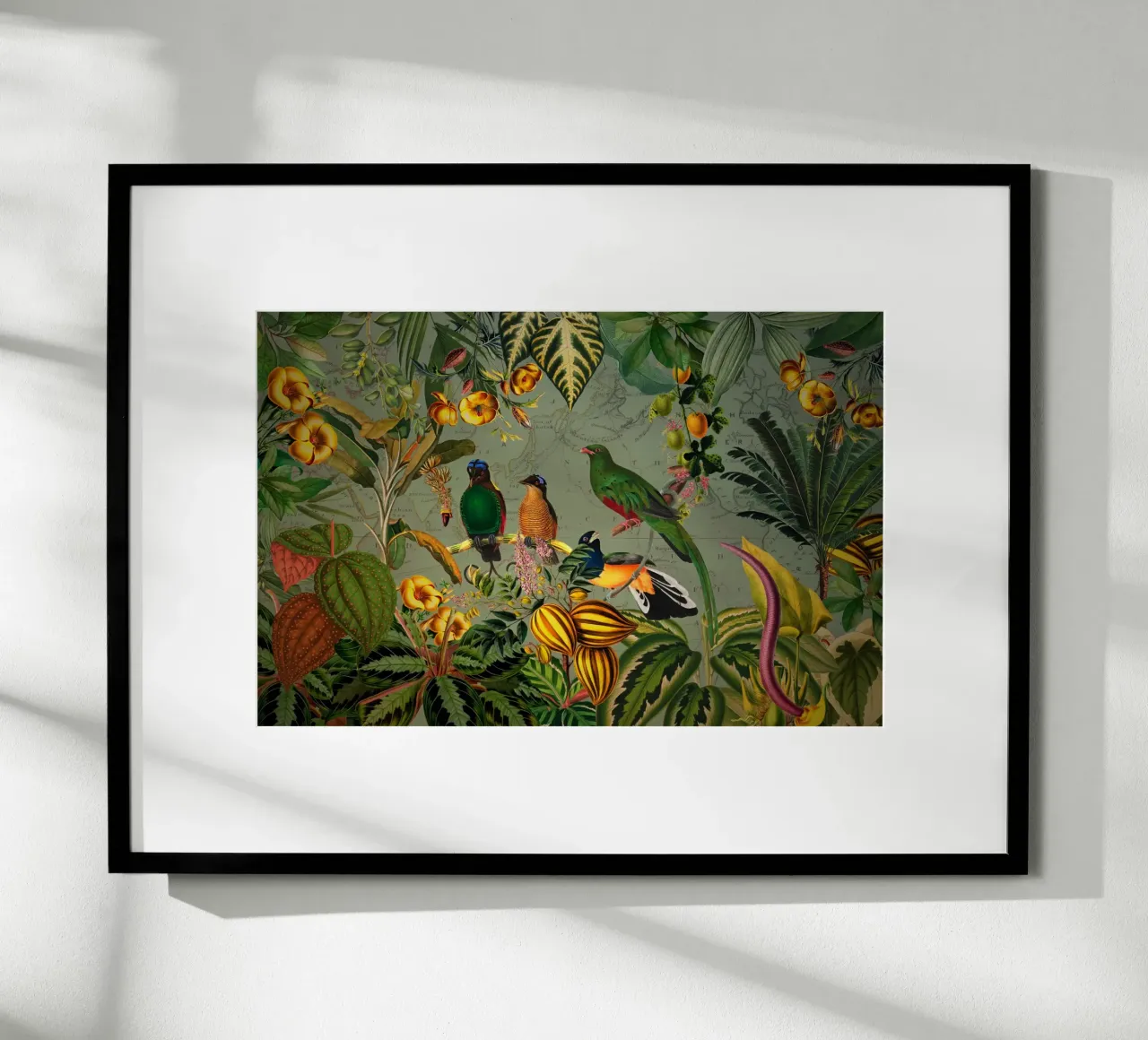 Mistico Vintage Esotico Uccelli colorati Giungla Nightgar poster da Vintage World - Uta Naumann