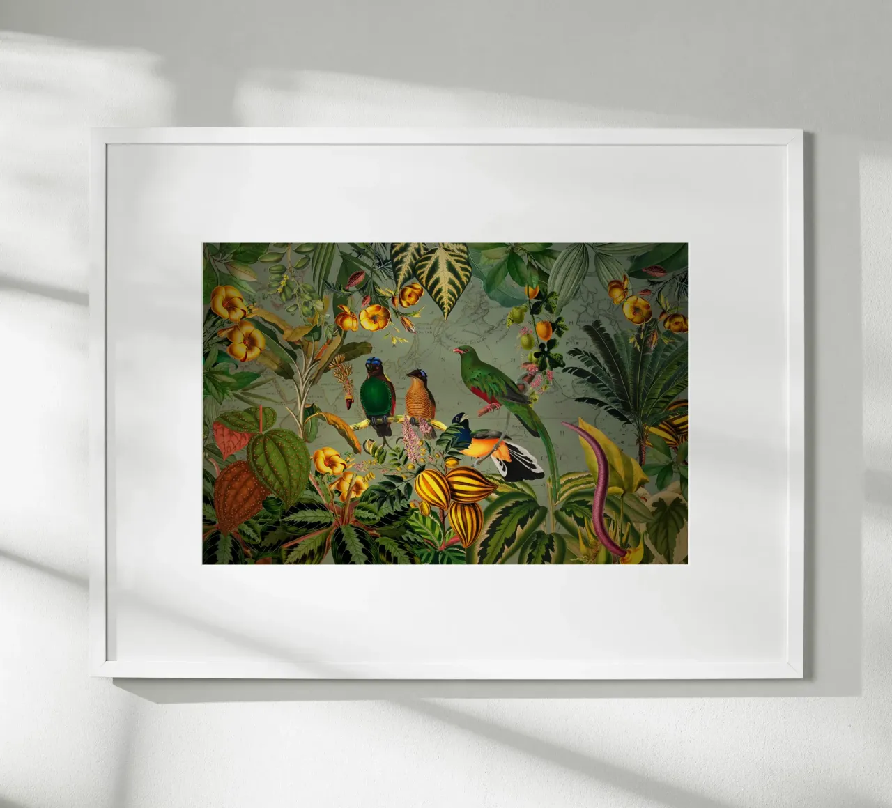 Mistico Vintage Esotico Uccelli colorati Giungla Nightgar poster da Vintage World - Uta Naumann