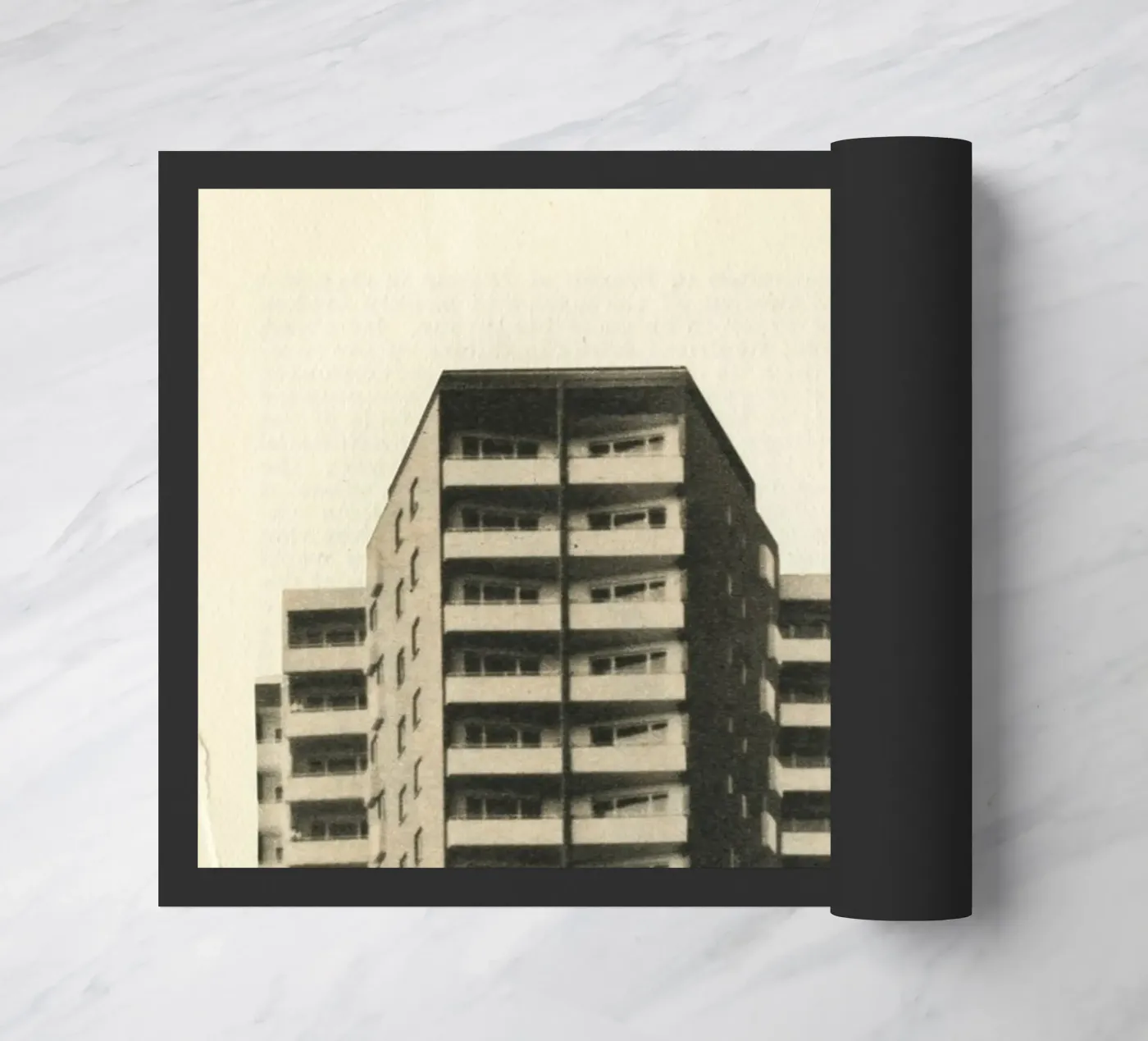 Futuro zerbino da Cassia Beck Collage