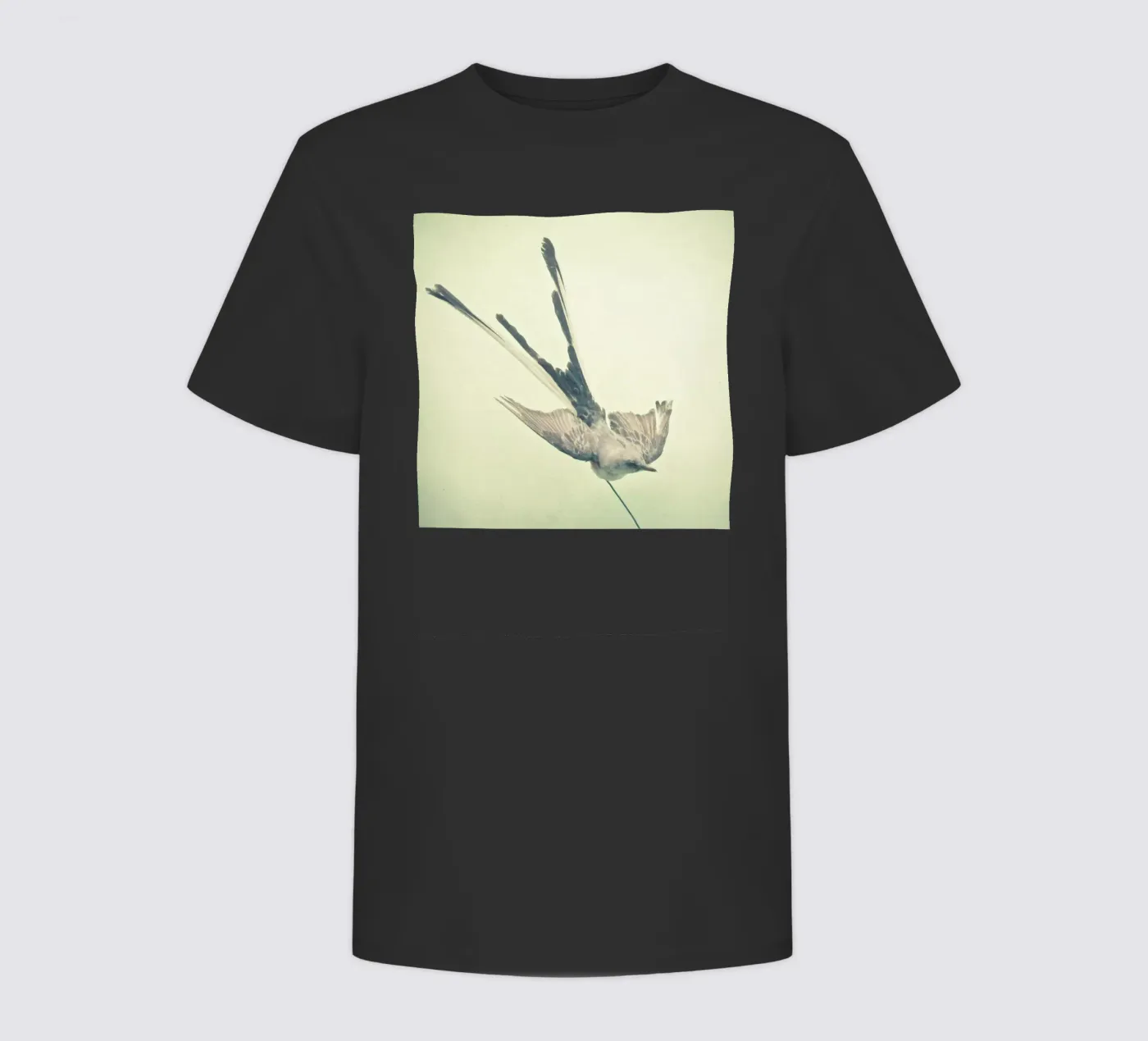 Bird study #1 kinder t-shirt van Cassia Beck Photography