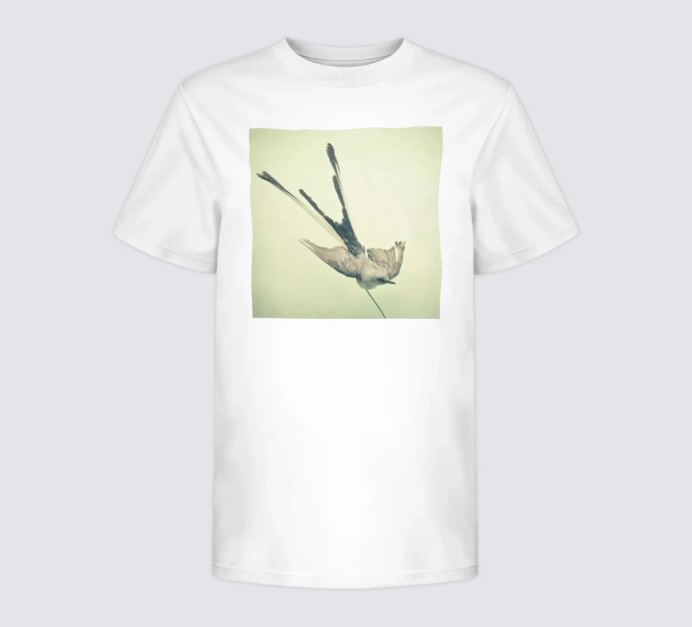 Bird study #1 kinder t-shirt van Cassia Beck Photography