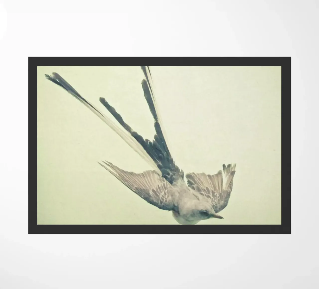 Bird study #1 deurmat van Cassia Beck Photography