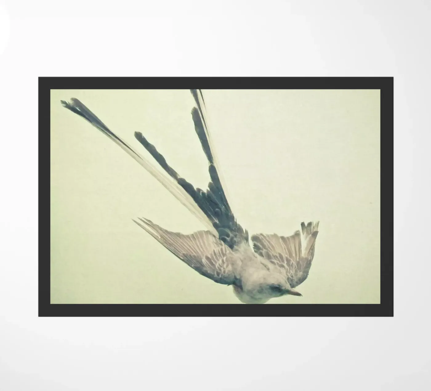 Bird study #1 Fußmatte von Cassia Beck Photography